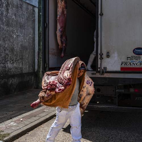 Photo #12131606