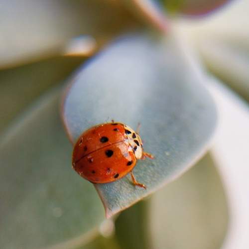 Photo #12131672