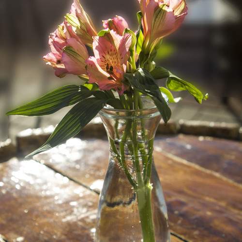Photo #12131991