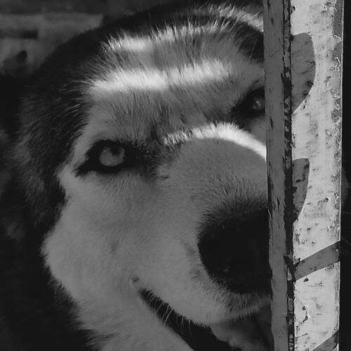 Photo #12132542