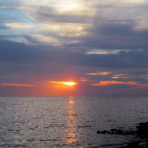 Photo #12132644