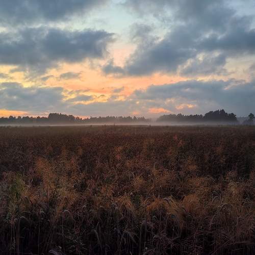 Photo #12132926