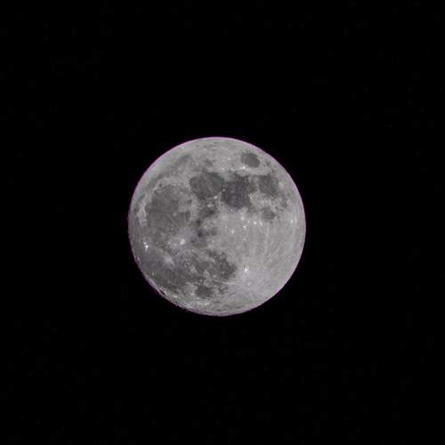 Photo #12133094