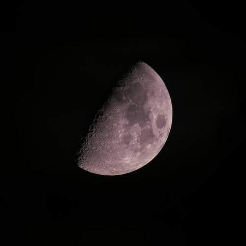 Photo #12133096