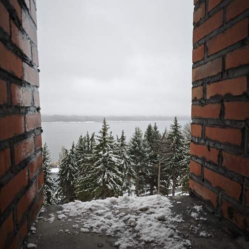 Photo #12133437