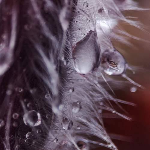 Photo #12133564