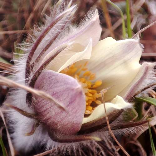 Photo #12133566