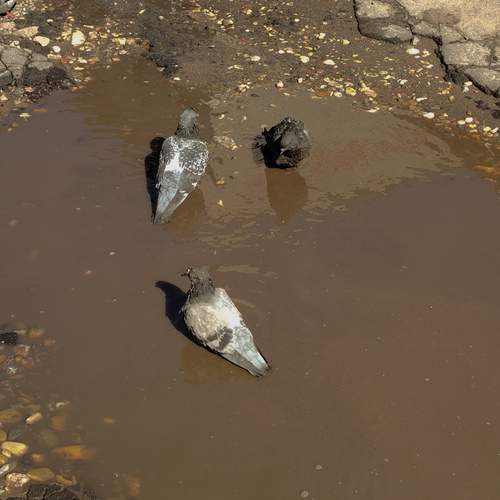 Photo #12134291