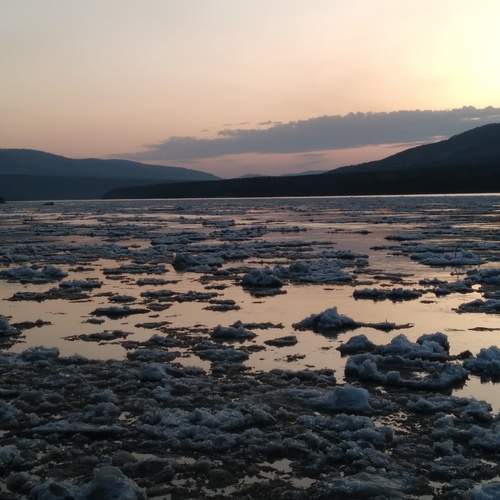 Photo #12134547