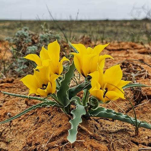 Photo #12134594