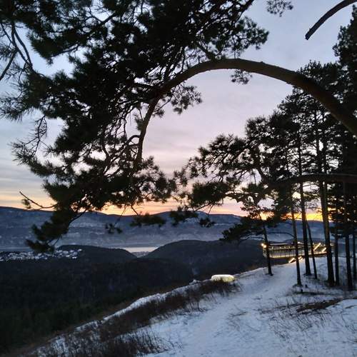 Photo #12134635