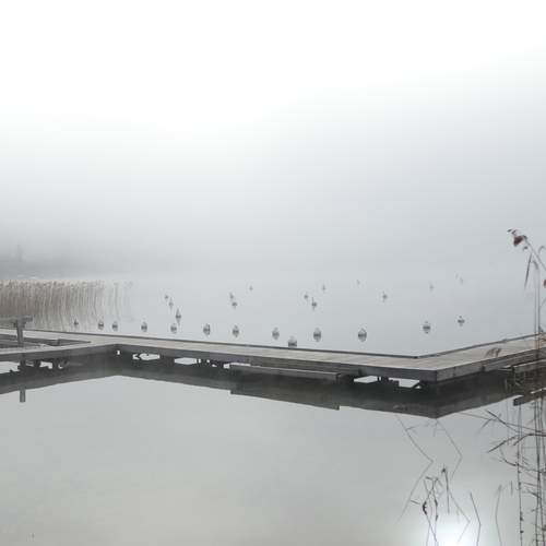 Фотография #12134699