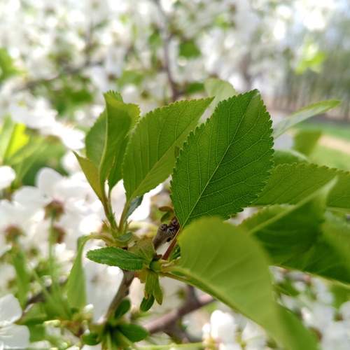 Photo #12134767