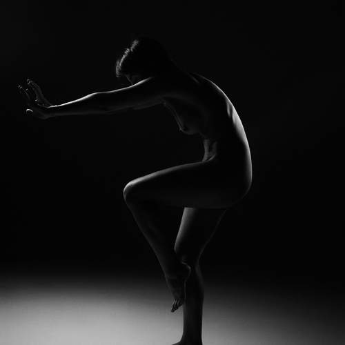 Photo #12134825