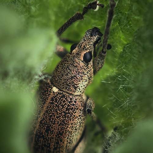 Photo #12134956
