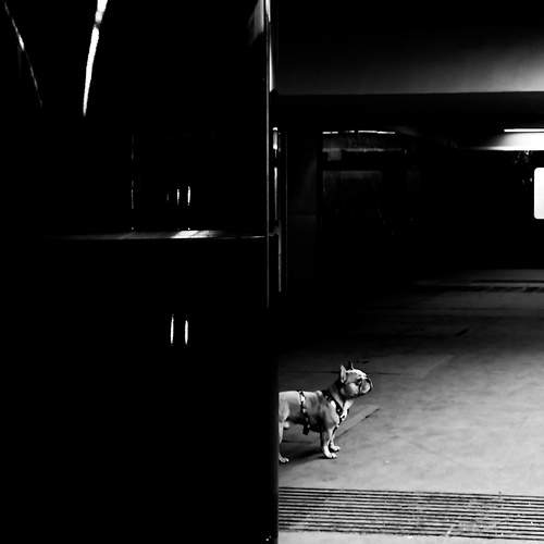 Photo #12135203