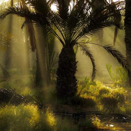 Photo #12135370