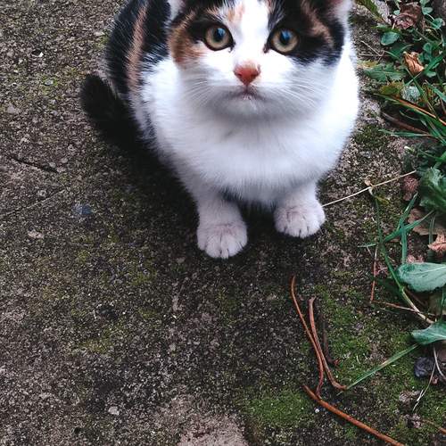 Photo #12135516