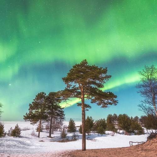 Photo #12135763