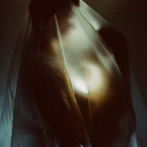Photo #12135914