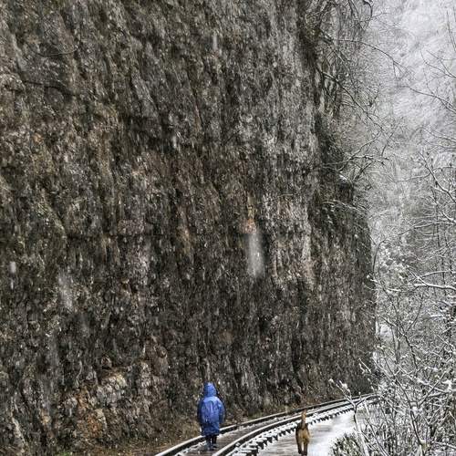 Photo #12136408
