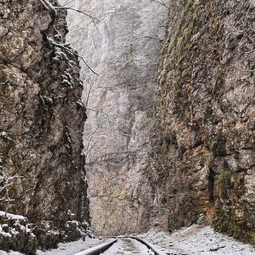 Photo #12136415