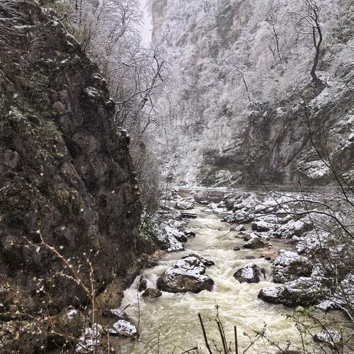 Photo #12136442