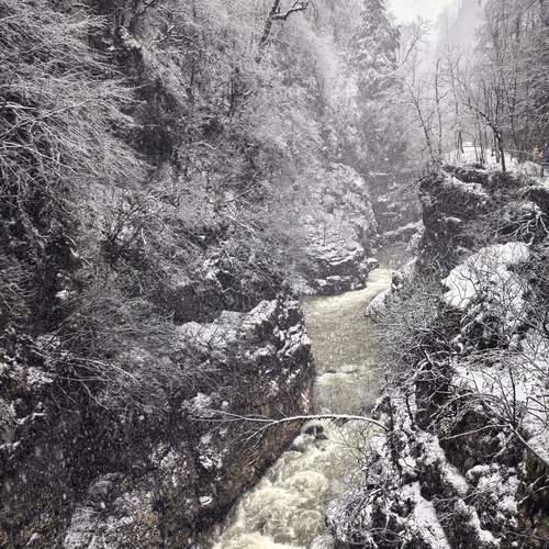 Photo #12136447