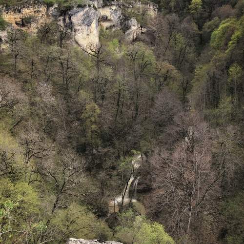 Photo #12136453