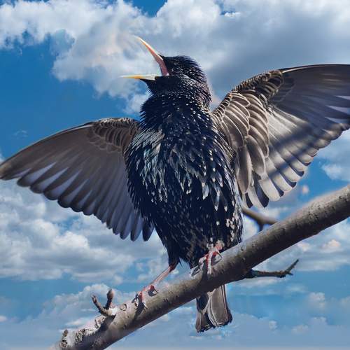 Фотография #12136925