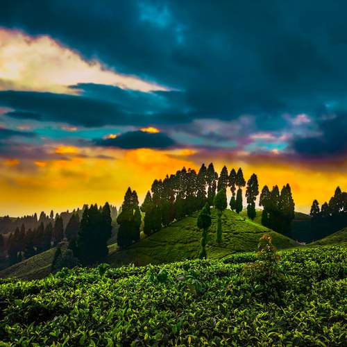 Beauty  of nature at dusk