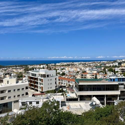 Photo #12138152