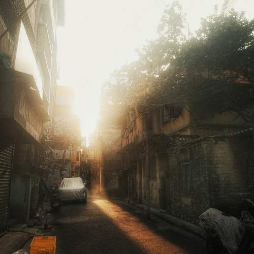 Winter morning