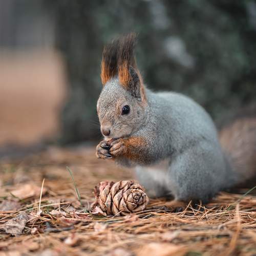 Photo #12138421
