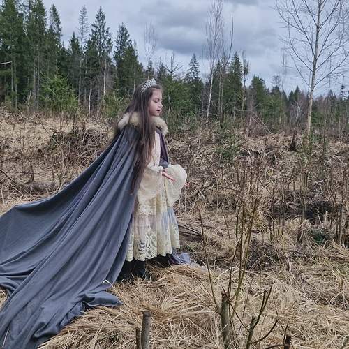 Photo #12138443
