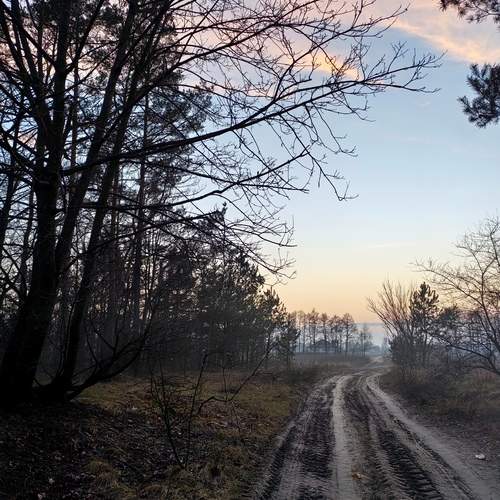 Photo #12138731