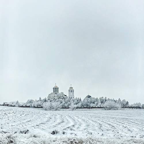 Photo #12138970