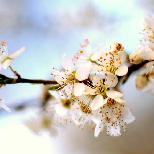 Photo #12139119