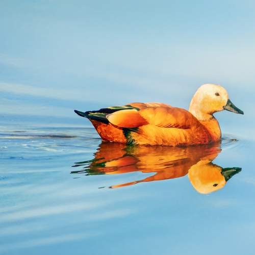 Photo #12139289