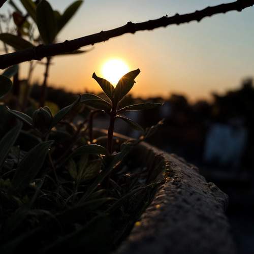 Photo #12139830