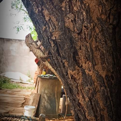Photo #12139831