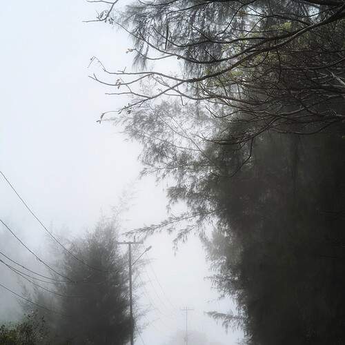 Photo #12140038