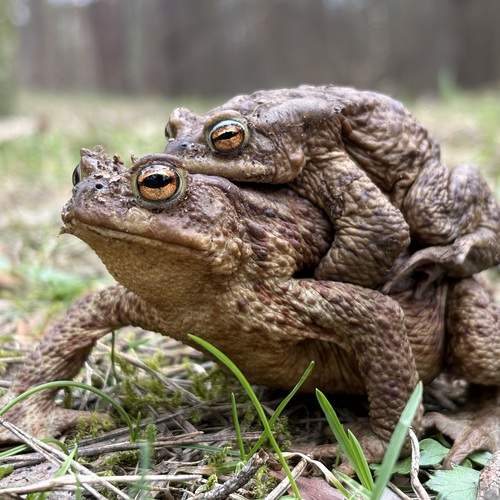 Photo #12140634