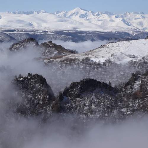 Photo #12140955