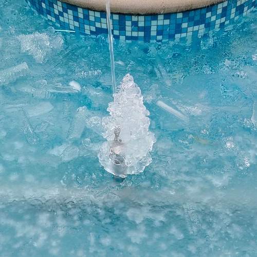 Photo #12141371