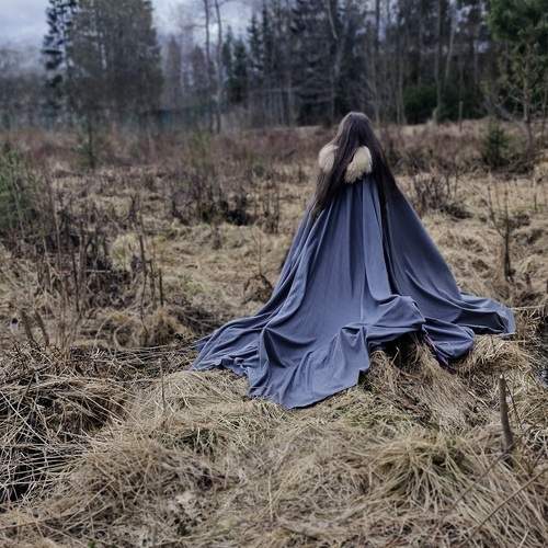Photo #12142139