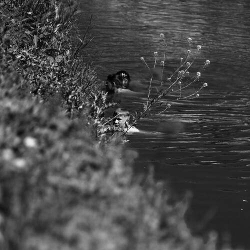 Photo #12142937