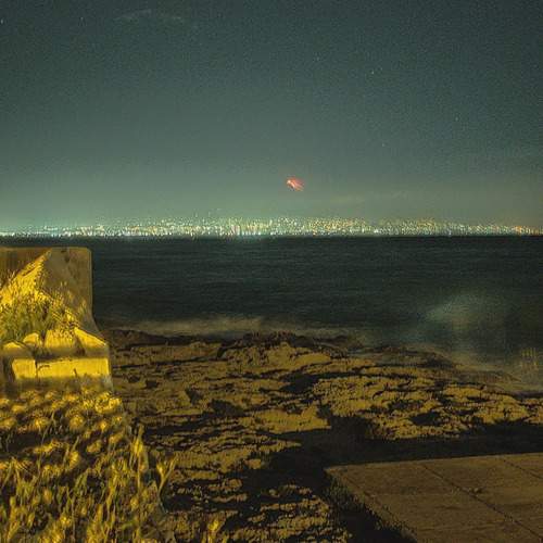 Photo #12143131