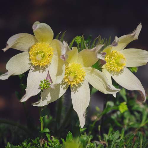 Photo #12143812