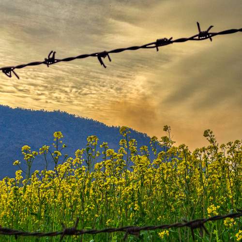 Photo #12143925